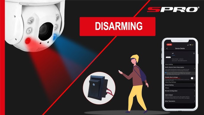 Disarmed Meaning in Cctv Camera