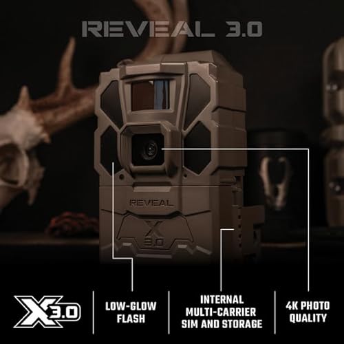 Best Trail Camera For Security