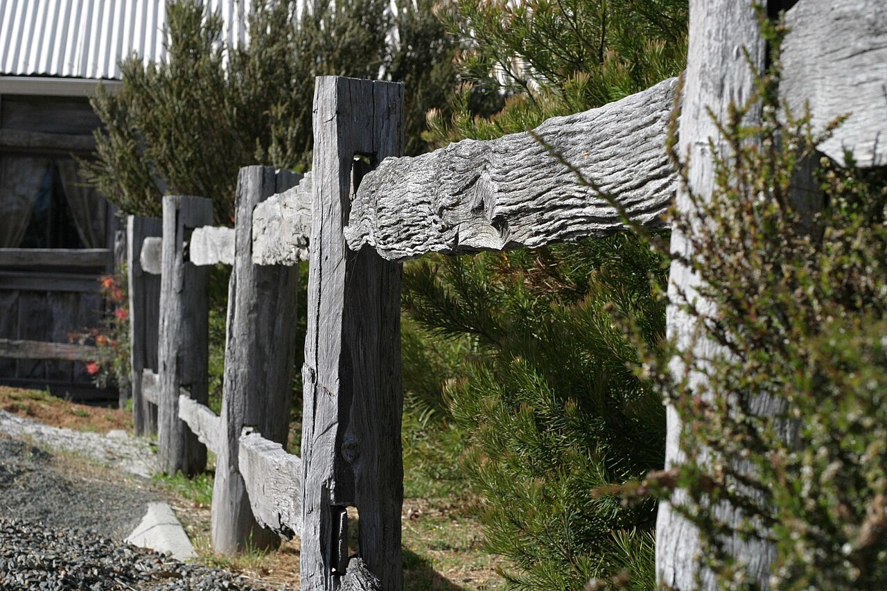 cellular trail camera