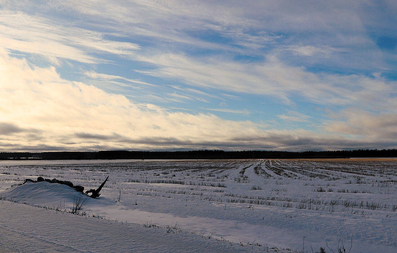 cloudy winter days